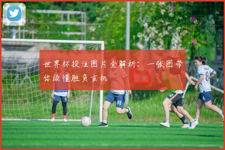 世界杯投注图片全解析：一张图带你读懂胜负玄机