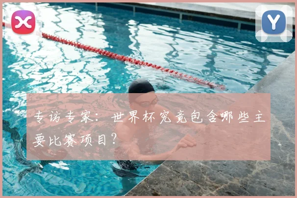 专访专家:世界杯究竟包含哪些主要比赛项目?
