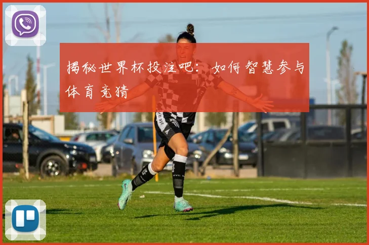 揭秘世界杯投注吧：如何智慧参与体育竞猜
