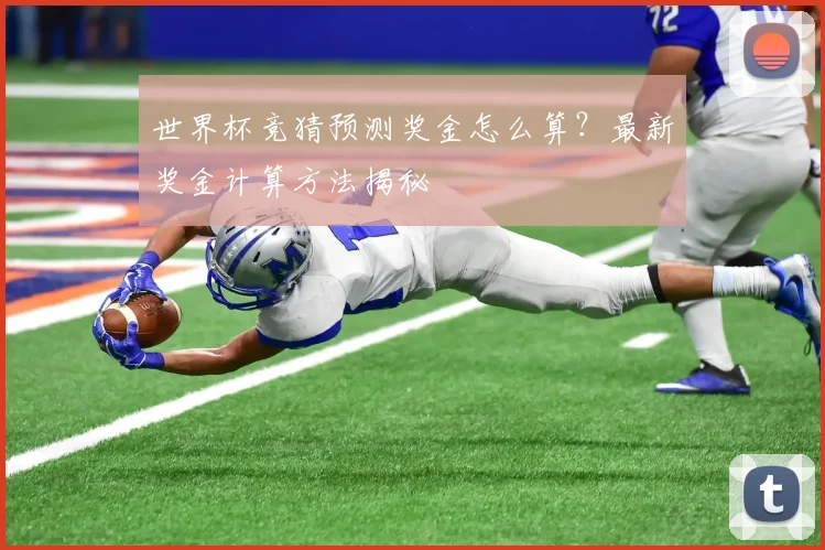 世界杯竞猜预测奖金怎么算?最新奖金计算方法揭秘