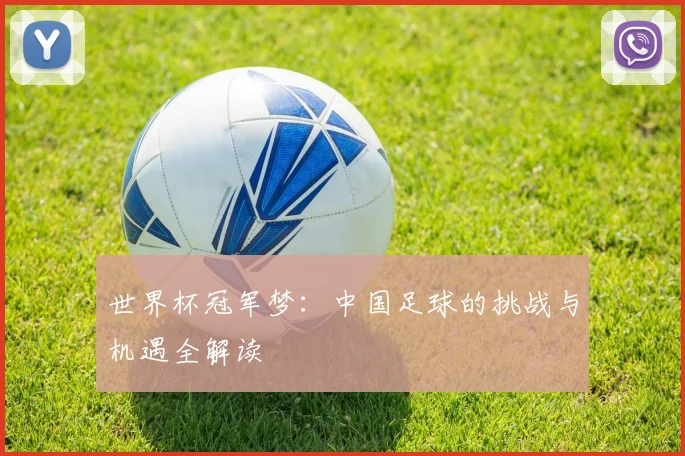 世界杯冠军梦：中国足球的挑战与机遇全解读