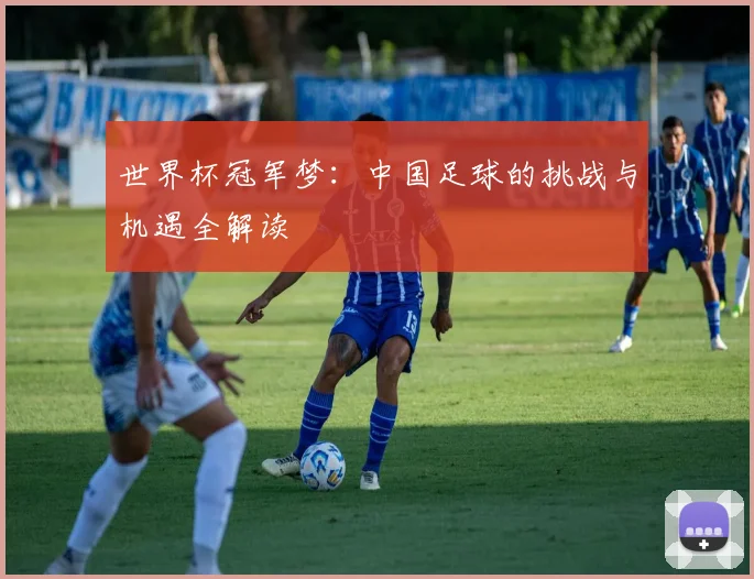 世界杯冠军梦:中国足球的挑战与机遇全解读