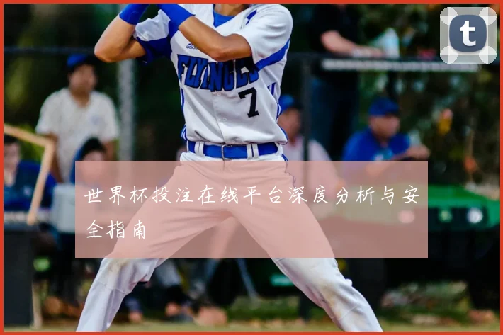 世界杯投注在线平台深度分析与安全指南