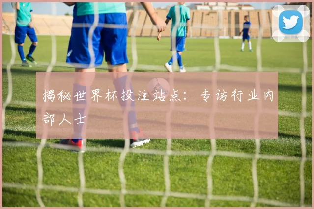 揭秘世界杯投注站点：专访行业内部人士